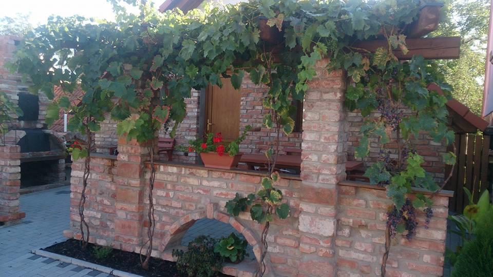 Apartment U Pavelků Mutěnice Exteriér fotografie
